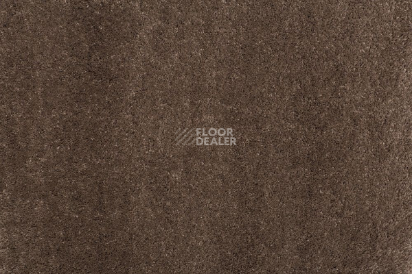 Ковролин Balta ITC Vensent 41 фото 1 | FLOORDEALER